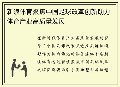 新浪体育聚焦中国足球改革创新助力体育产业高质量发展